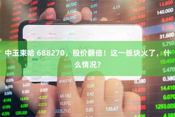 中玉束哈 688270，股价翻倍！这一板块火了，什么情况？