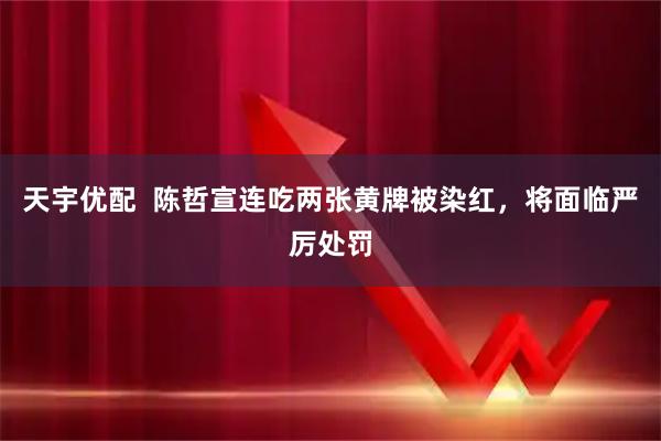 天宇优配  陈哲宣连吃两张黄牌被染红，将面临严厉处罚